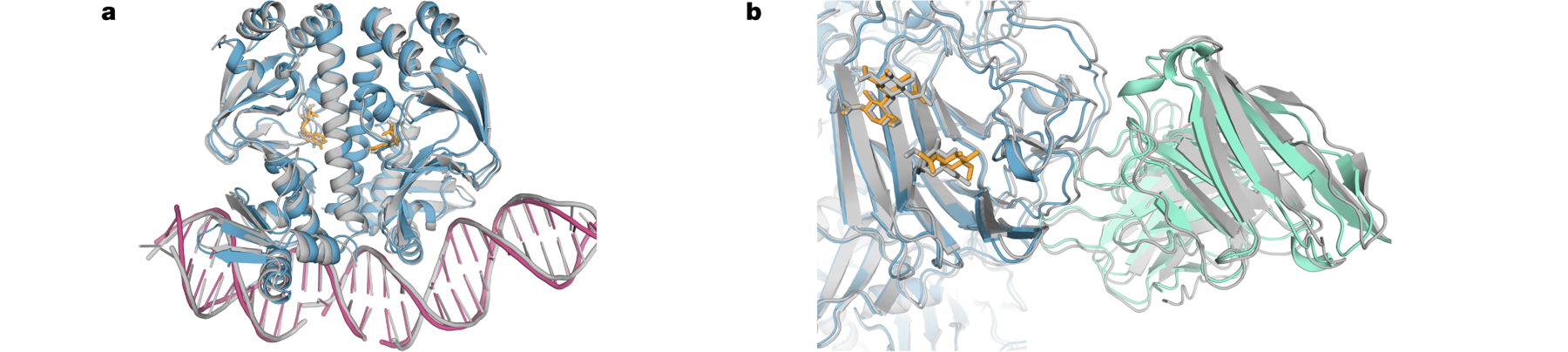 Abramson et al., Fig. 1a–b (cropped): sequences and chemical identities define a mixed biomolecular system.
