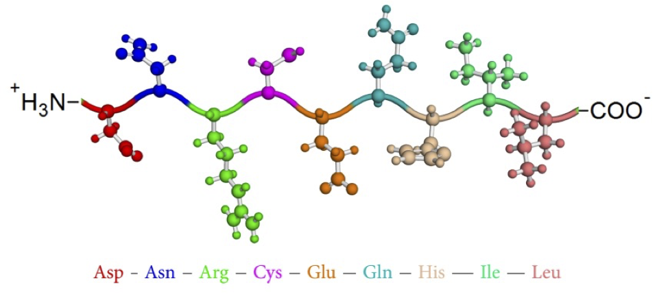 peptide