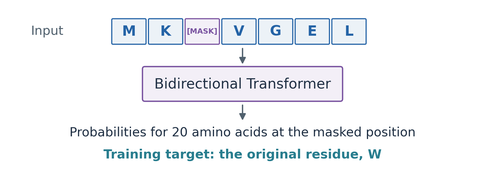 Masked-residue prediction with an ESM Transformer; illustrative sequence.