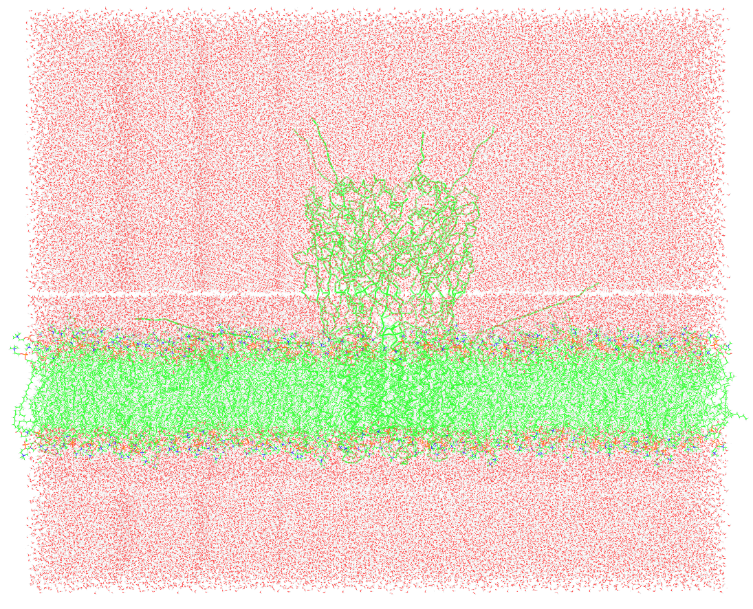 No description has been provided for this image