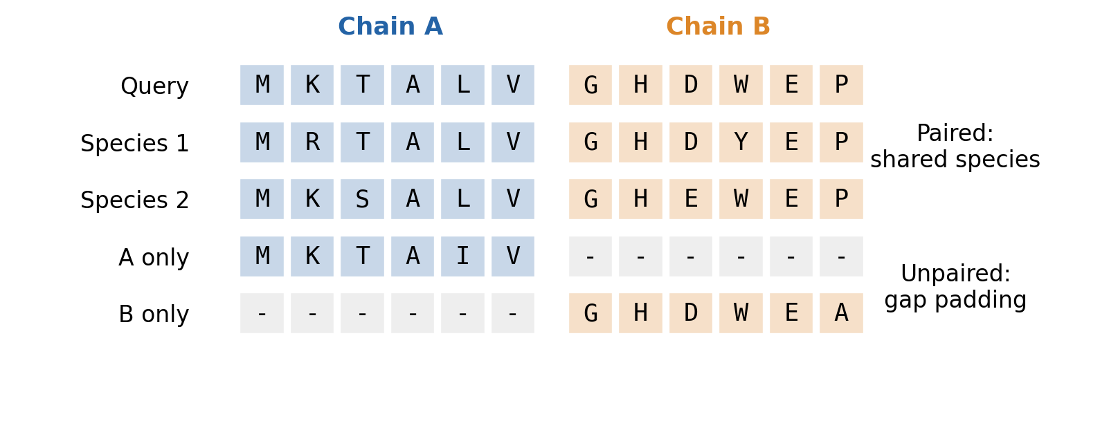 Illustrative sequences; teaching schematic based on Evans et al., §§2.2–2.3.